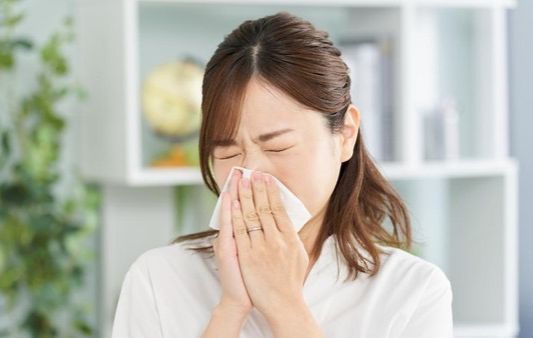 WhatsApp Image 2025-10-30 at 23.51.04_bc23afbe